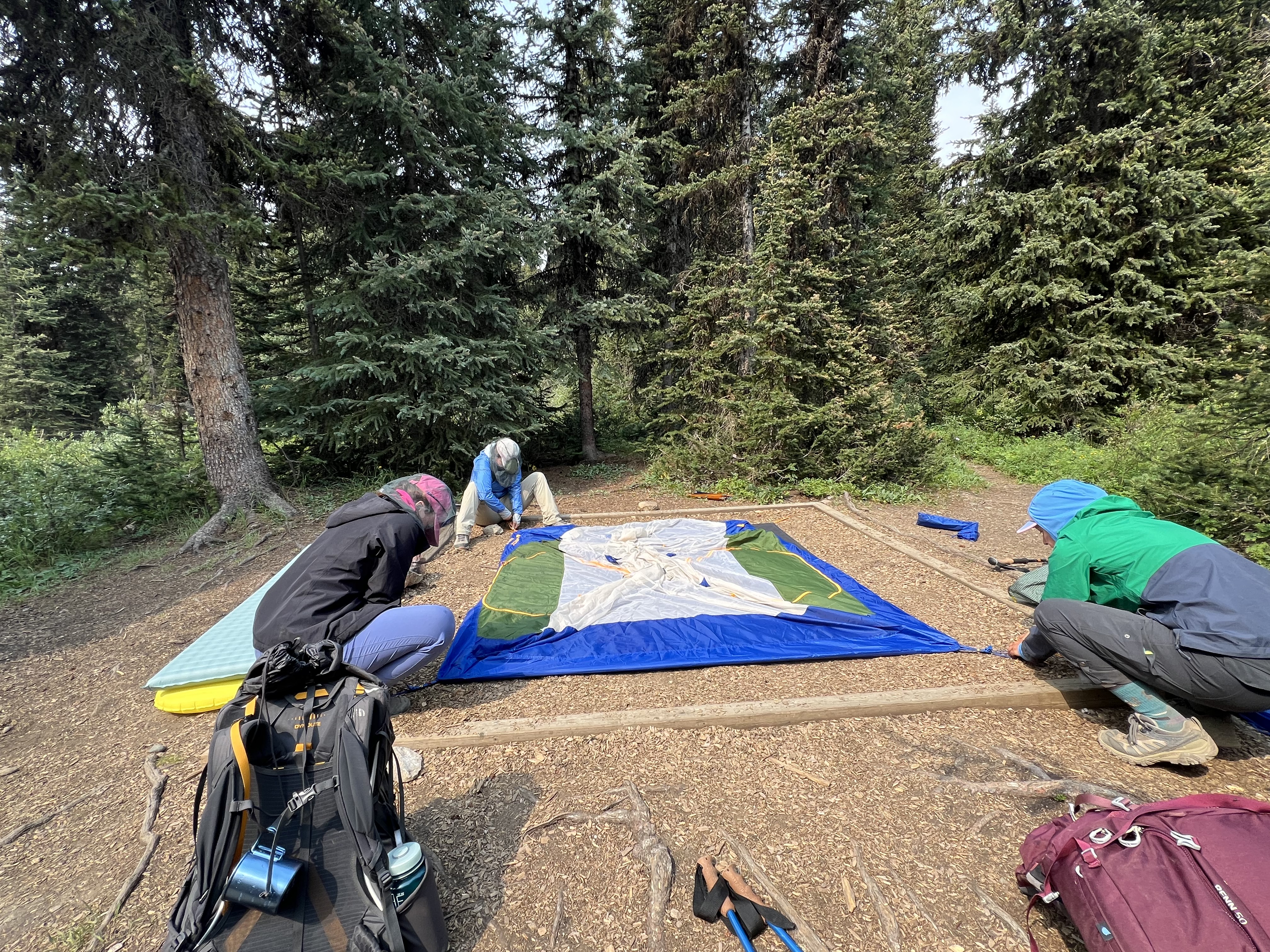 Backpackers setting up a tent on a designated tent pad in Banff National Park